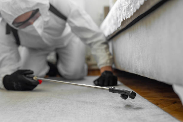 Professional Termite Control technician working in Vincent, CA