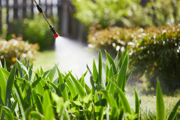 24/7 Emergency Termite Control experts in Vincent, CA